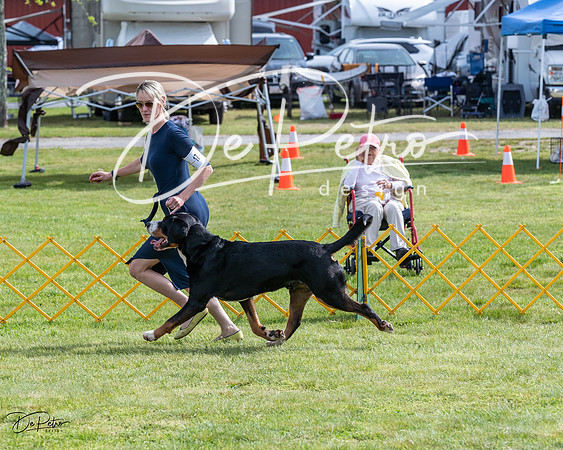 20230513-DSC00513