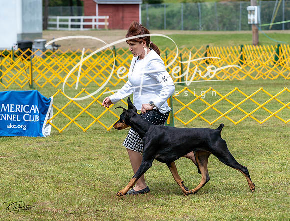 20230513-DSC08335