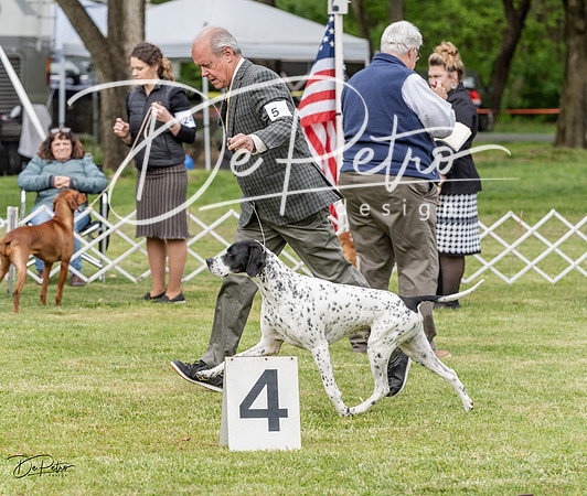 20230427-DSC05866
