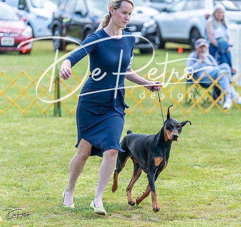 20230513-DSC09075
