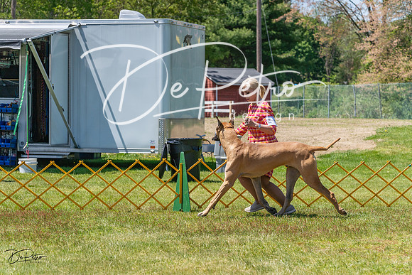 20230514-DSC07925