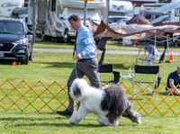 20230513-DSC01211