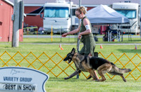 20230512-DSC07039