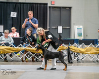 20260926-DSC03829