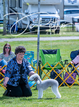 20230512-DSC04079