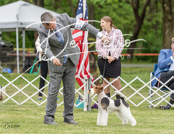 20230427-DSC07501
