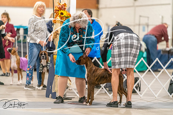 20261022-DSC00189