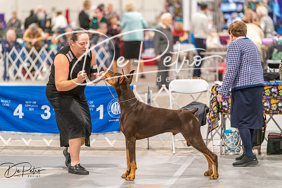 20261024-DSC00564