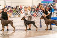 20261024-DSC00577