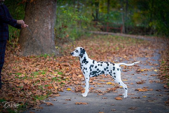 20261017-DSC09168