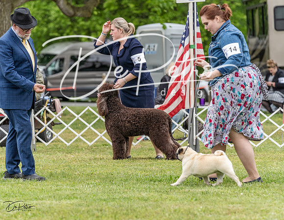 20230427-DSC07458