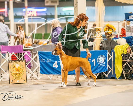 20261022-DSC01845