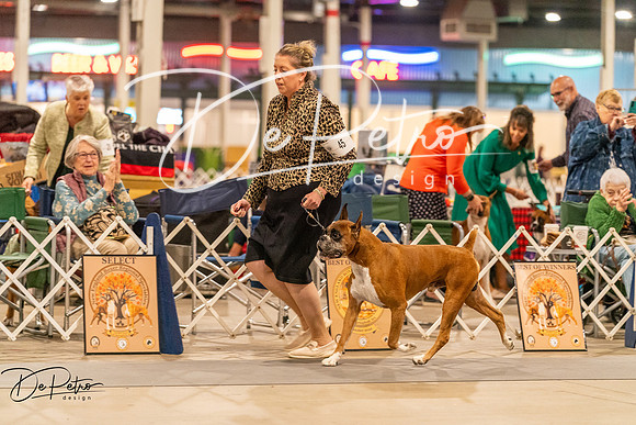 20261023-DSC05419