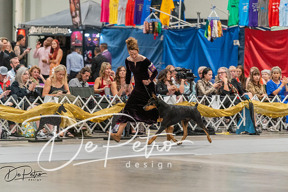 20260928-DSC06303