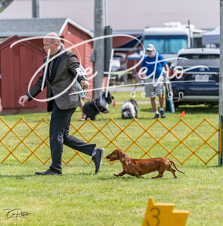 20230513-DSC09758