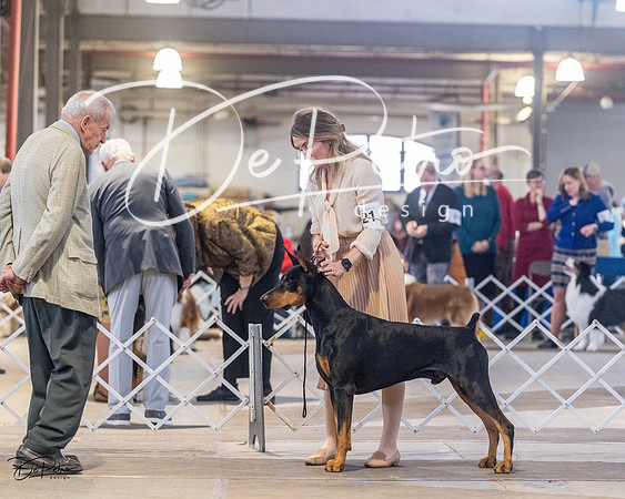 20230401-DSC06563
