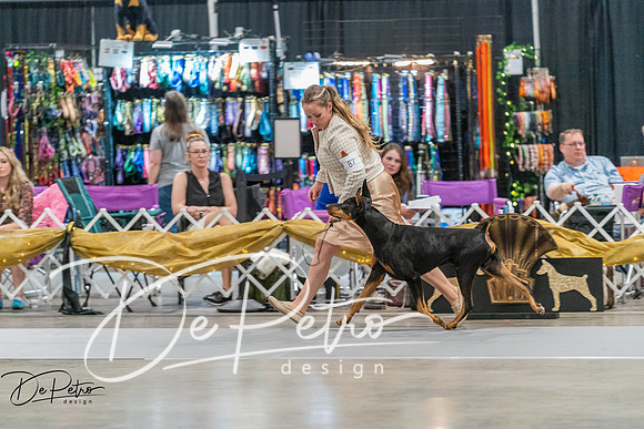 20260927-DSC05335