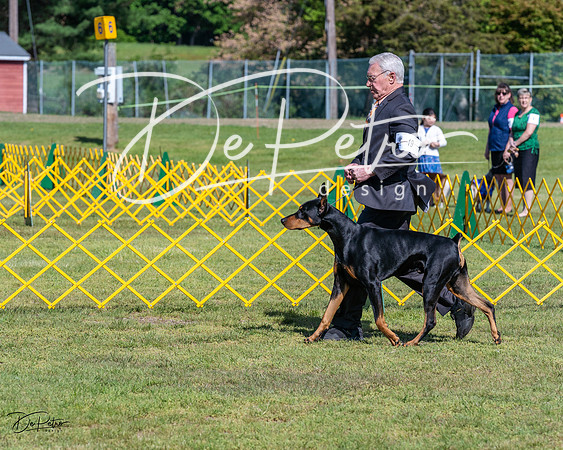 20230514-DSC03063