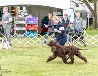 20230427-DSC07216