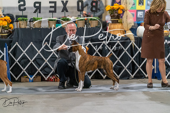20261023-DSC05517