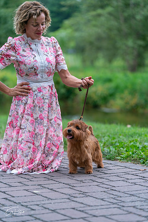 20260912-DSC03260