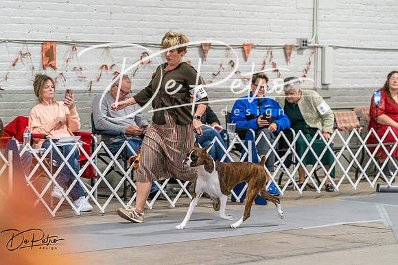 20261023-DSC05212