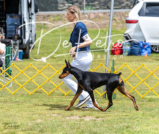 20230513-DSC08294