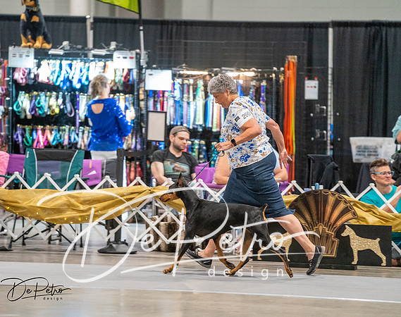 20260926-DSC04637
