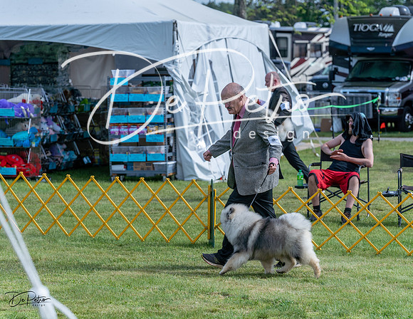 20230513-DSC00215