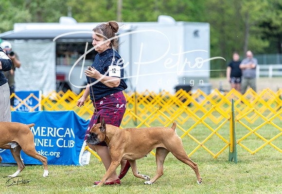 20230513-DSC07536
