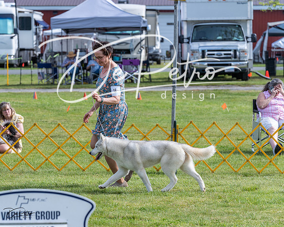 20230513-DSC01113