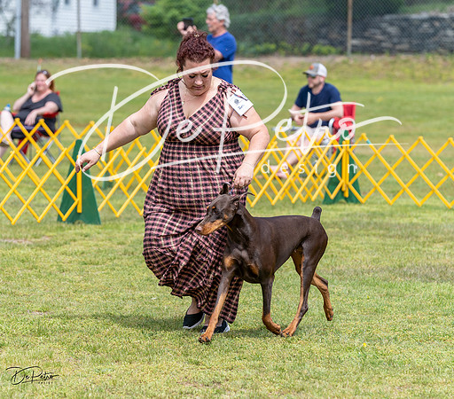 20230513-DSC08414