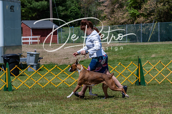 20230514-DSC04205
