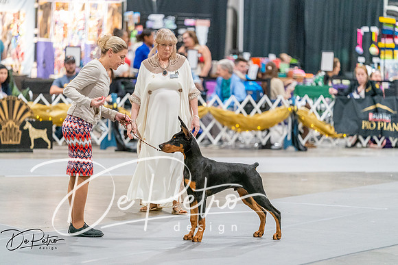 20261001-DSC07401