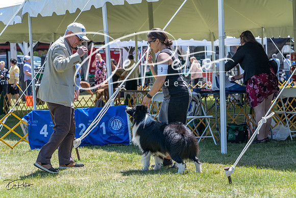 20230514-DSC04910