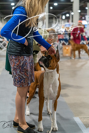 20261023-DSC05469