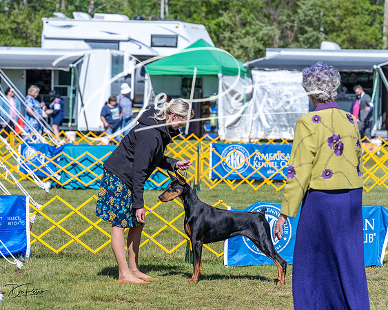 20230514-DSC03379