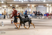 20230331-DSC05374