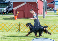 20230512-DSC05599