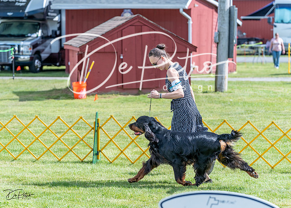 20230512-DSC05599