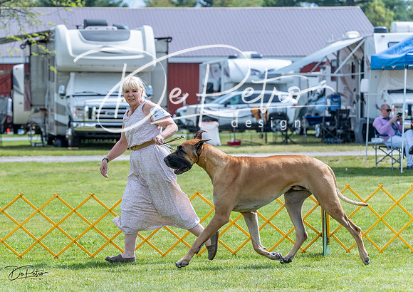 20230512-DSC04850