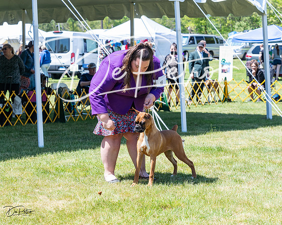 20230514-DSC04003