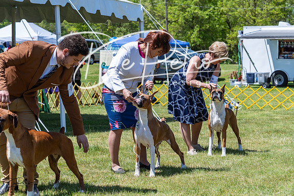 20230514-DSC04066