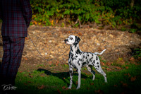 20261017-DSC08885