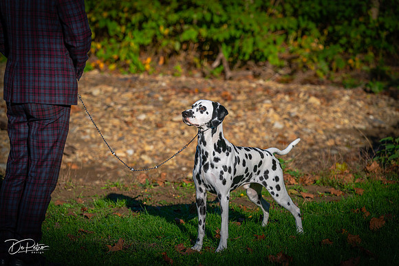20261017-DSC08885