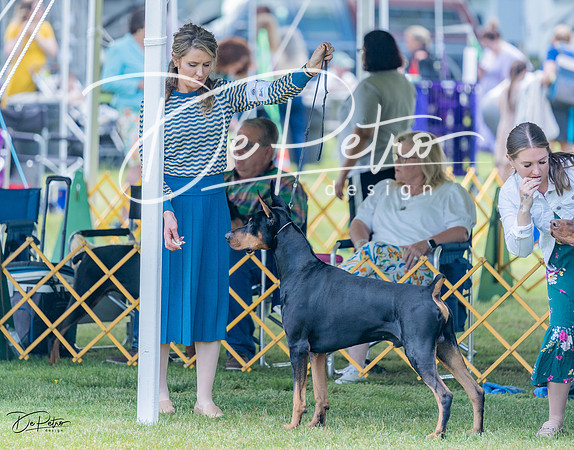 20230513-DSC08675