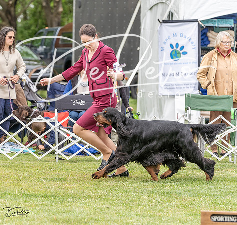 20230427-DSC06304