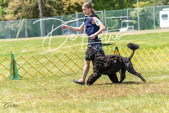 20230514-DSC08530