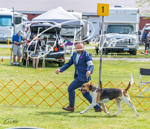 20230513-DSC09489
