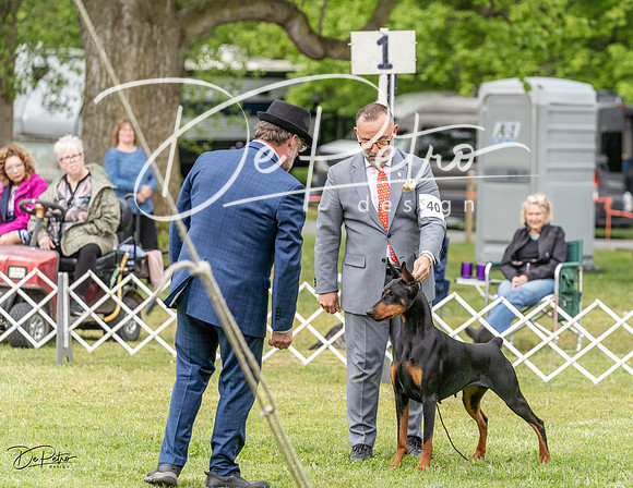20230427-DSC07266